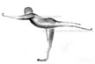 virabhadrasana III 